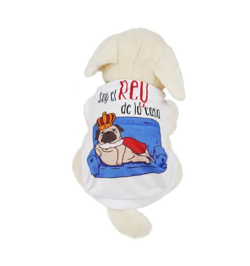 Samarreta per a gos personalitzada 2 Camiseta para perro personalizada