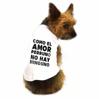 Camiseta para perro personalizada a tu gusto