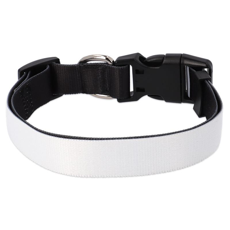 Collar de perro personalizado 4 Colla de perro personalizado