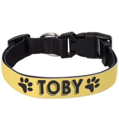 Colla de perro personalizado