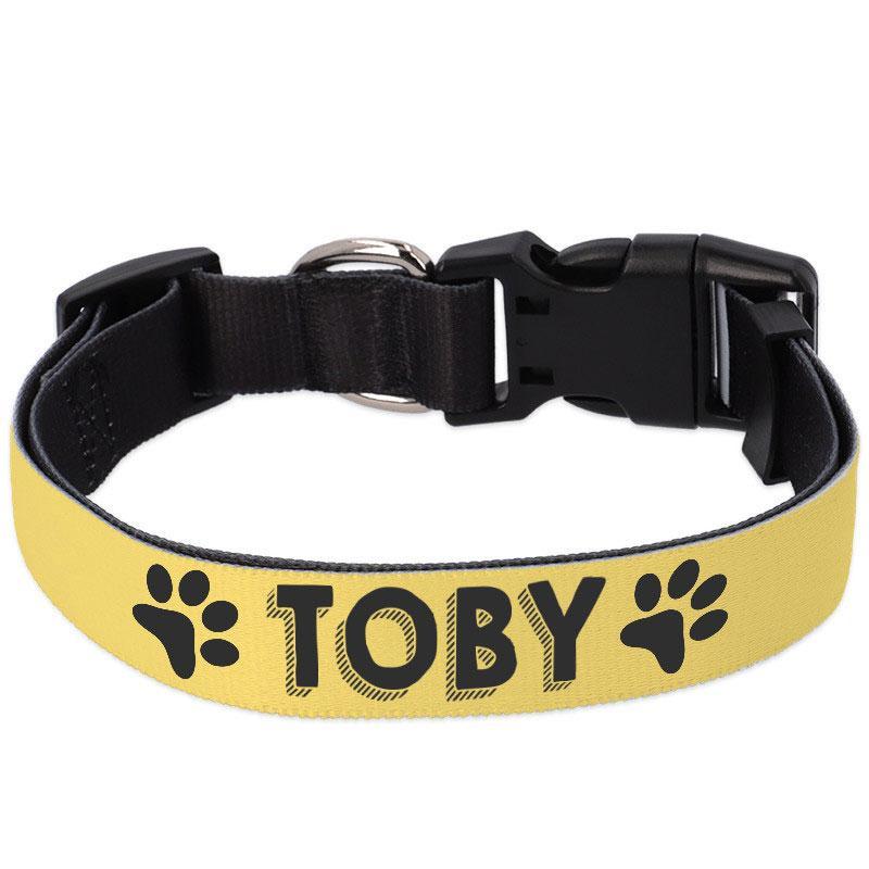 Collar de perro personalizado 1 Colla de perro personalizado