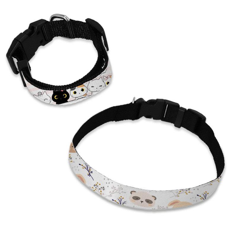 Collar de perro personalizado 3 Colla de perro personalizado