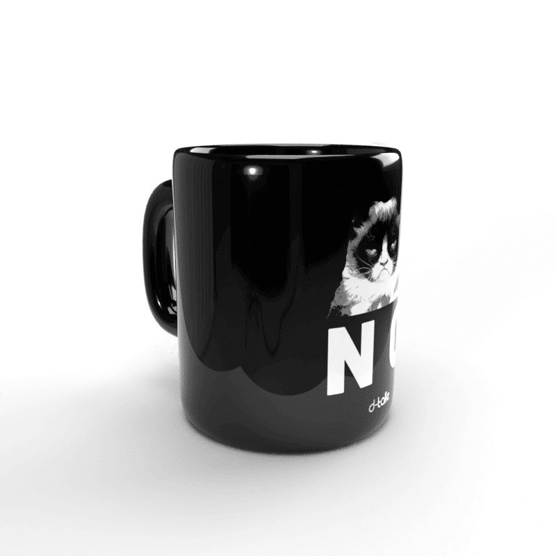 Grumpy Cat Tasse 2 Taza Grumpy cat